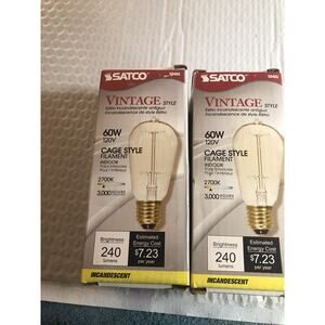 Satco S2423 Vintage Style 60w 120V Cage Style Filament 2 Pack